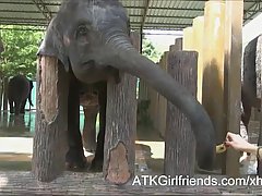 Karla Kush met her ex boyfriend after a long time and had casual sex with him