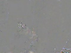 German teens are orgying with guys they have met in the club, all night long